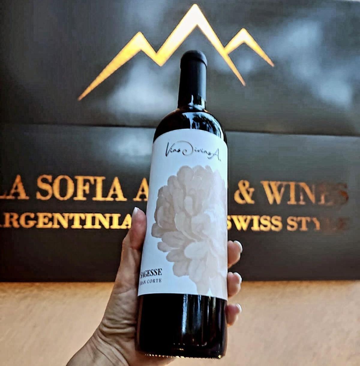 La Sofia Apart & Wines Mendoza Dış mekan fotoğraf