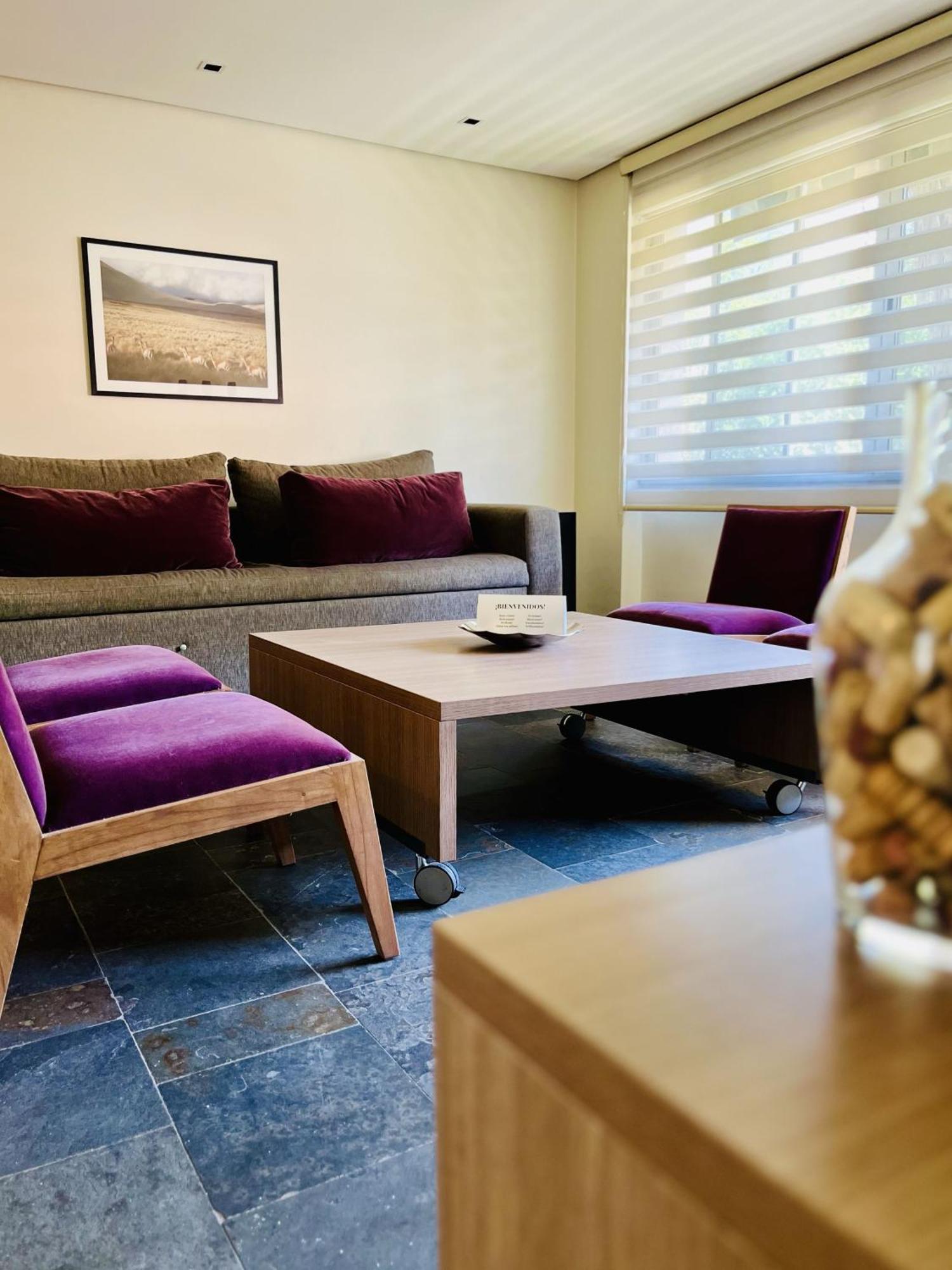 La Sofia Apart & Wines Mendoza Dış mekan fotoğraf